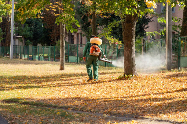 Best Insect Control  in Daniels, WV